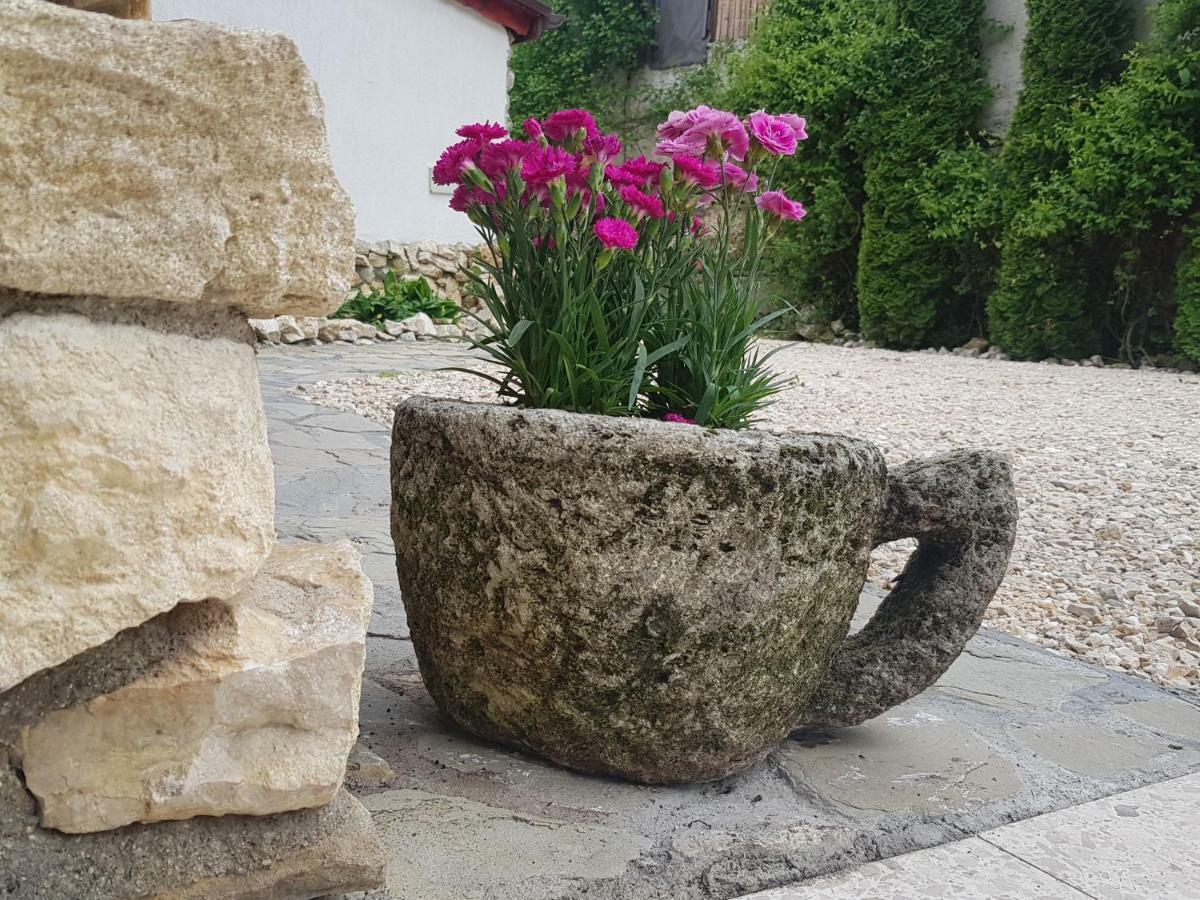 Casa Bergwald Apartment Rîşnov Luaran gambar